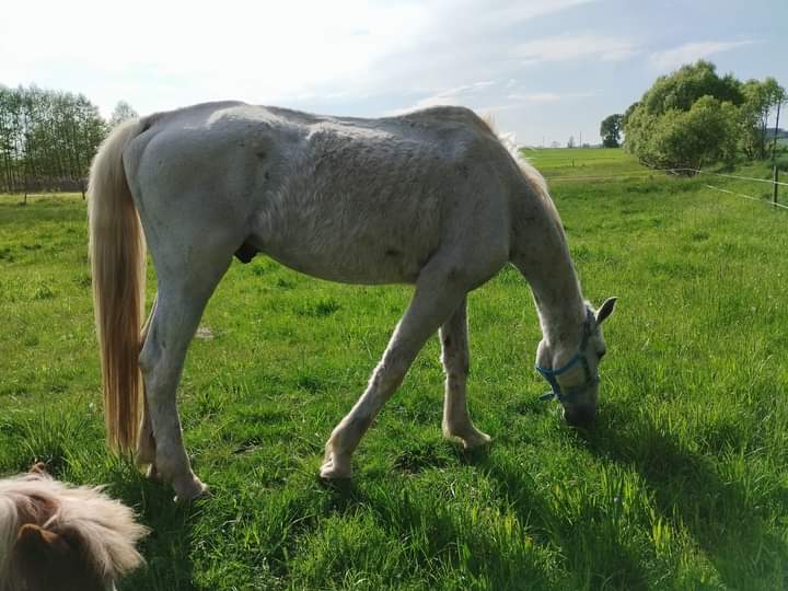 FB_IMG_1715330403160
